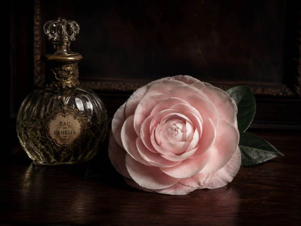 Elegant Flower Names