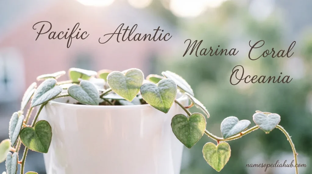 Romantic Plant Names